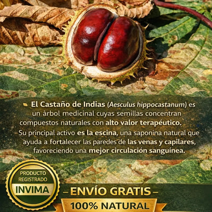 🌿 CASTAÑO DE INDIAS  💊 100 Softgels x2 🚚 Envío GRATIS